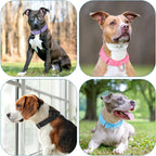 No-pull martingale collar mechanism highlighting the durable metal loops design