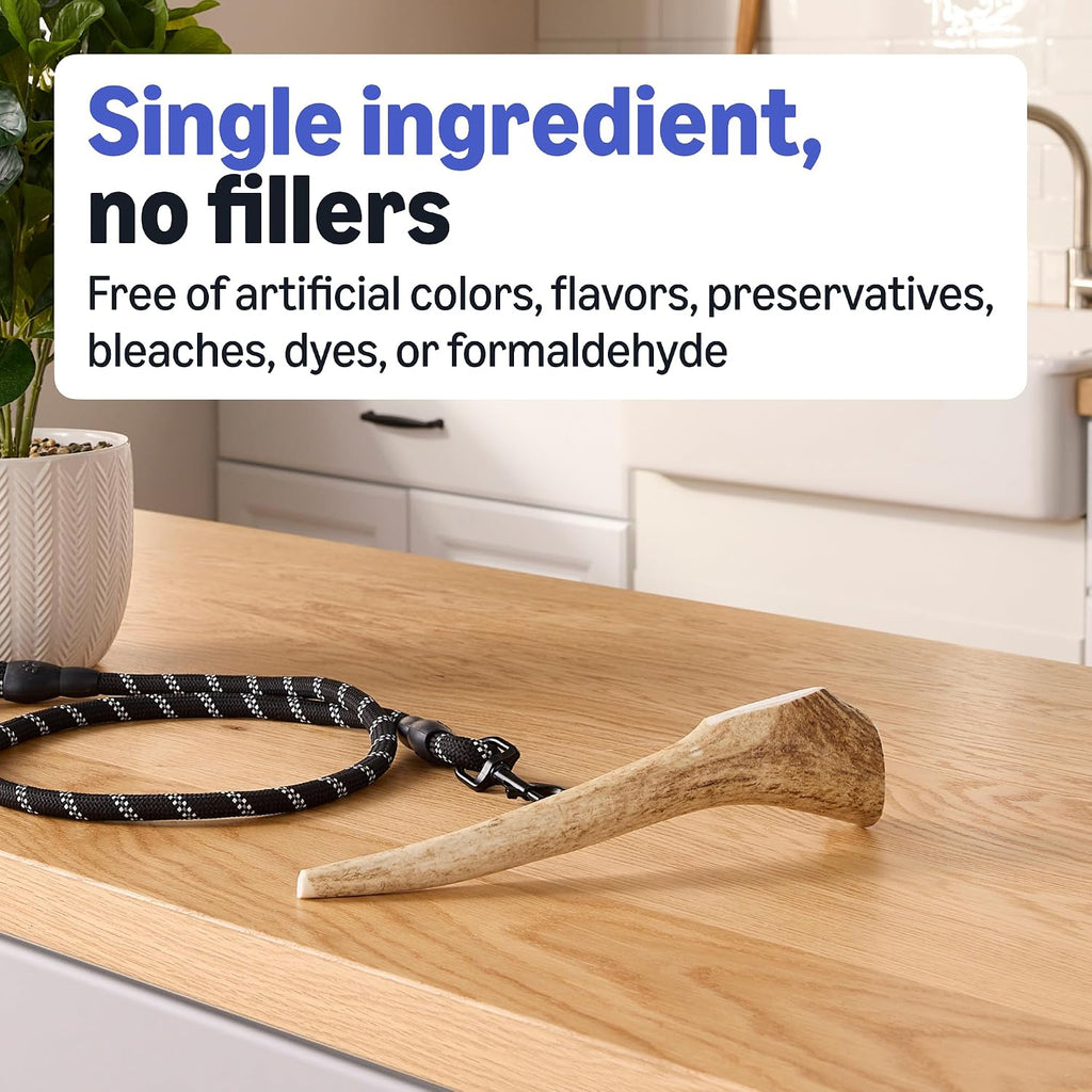 Textured surface of natural elk antler for dental health