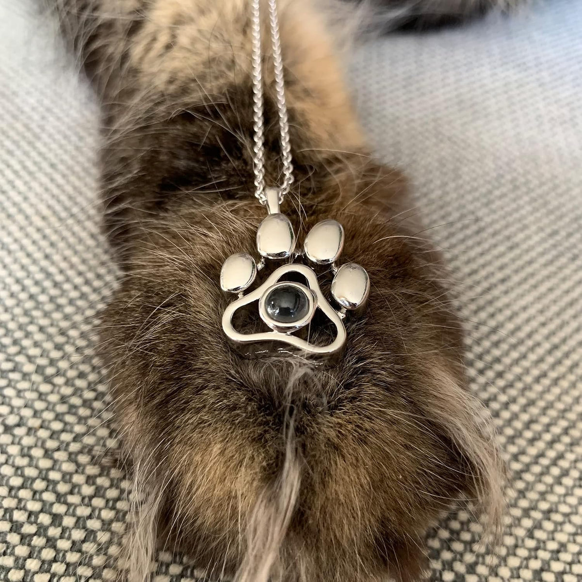 OPALSTOCK pet memorial jewelry showing how a smartphone flashlight projects the pet photo