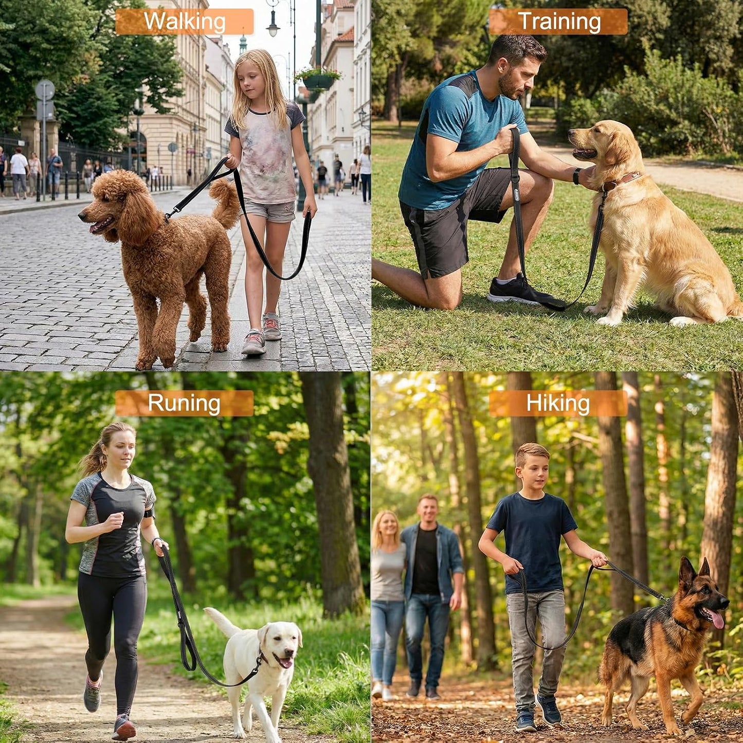 CLCKUMTU two handle dog leash being used for close control training