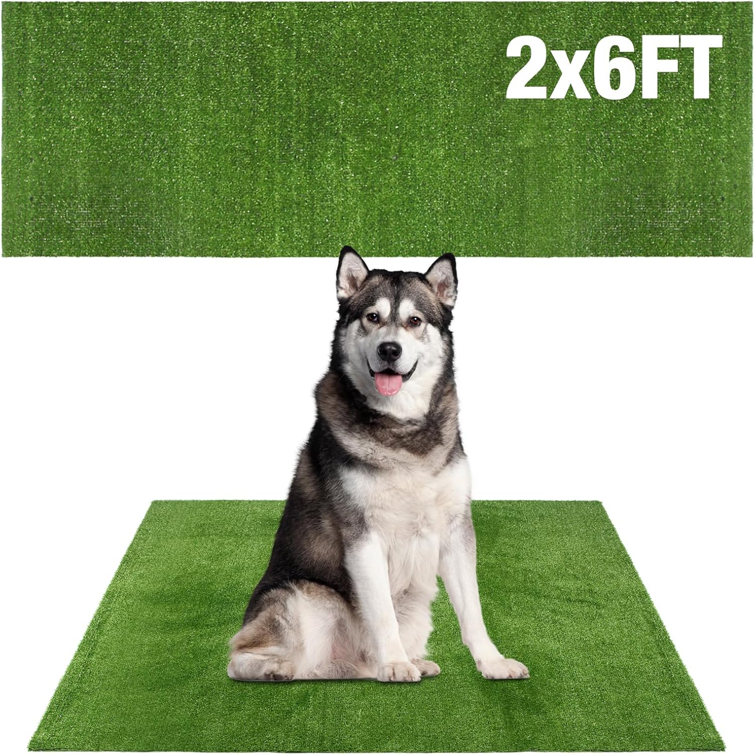 Globreen large dog grass pad front view for indoor potty training