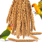 KATUMO Spray Millet Treats, 7Oz / 200g Natural Sun-Dried Bird Treats for Parakeet Conure Cockatiel Finch Pigeon Hamster Canary - Image 9
