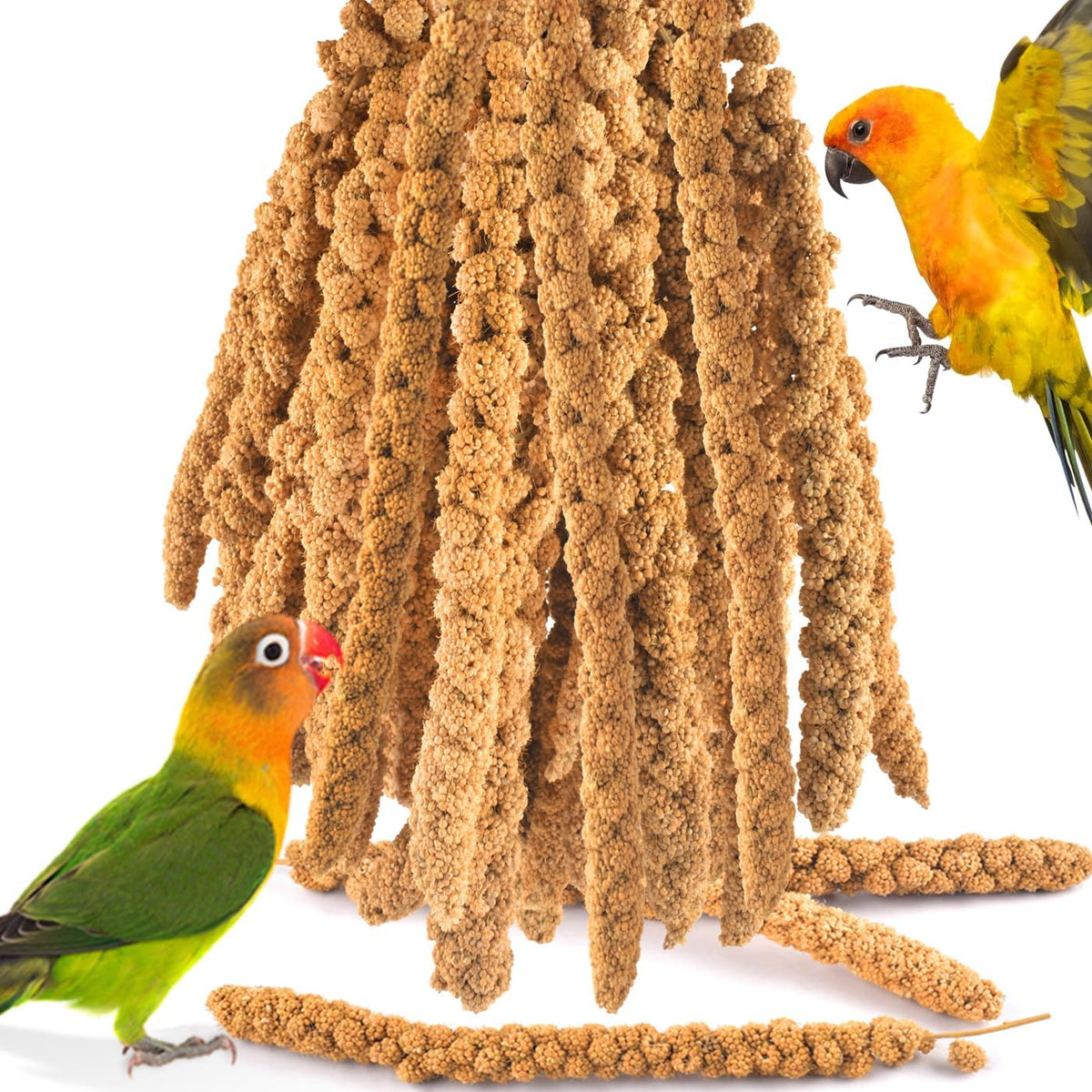 KATUMO Spray Millet Treats, 7Oz / 200g Natural Sun-Dried Bird Treats for Parakeet Conure Cockatiel Finch Pigeon Hamster Canary - Image 9