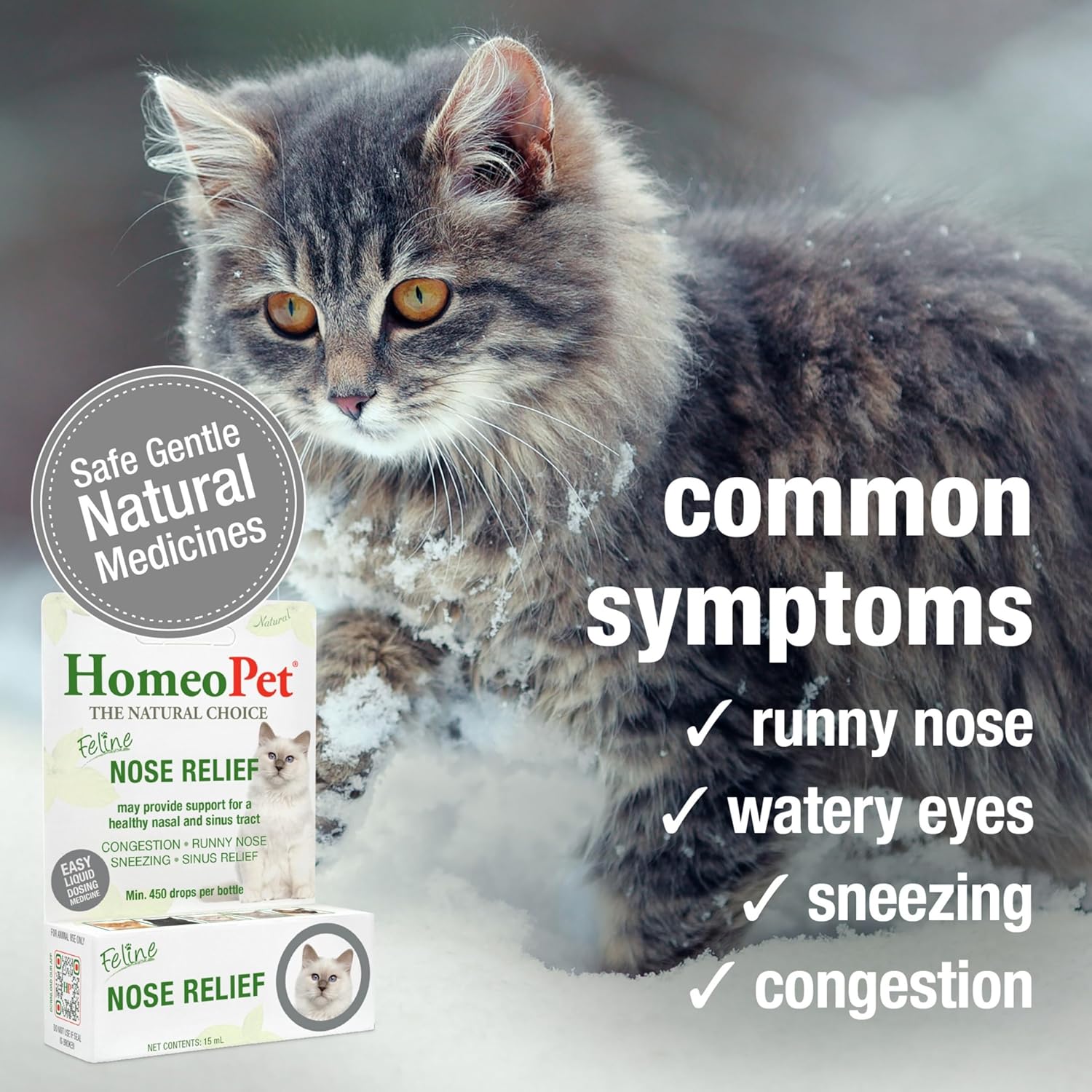 Safe nasal airway support supplement for kittens and senior cats
