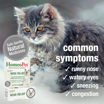 Safe nasal airway support supplement for kittens and senior cats