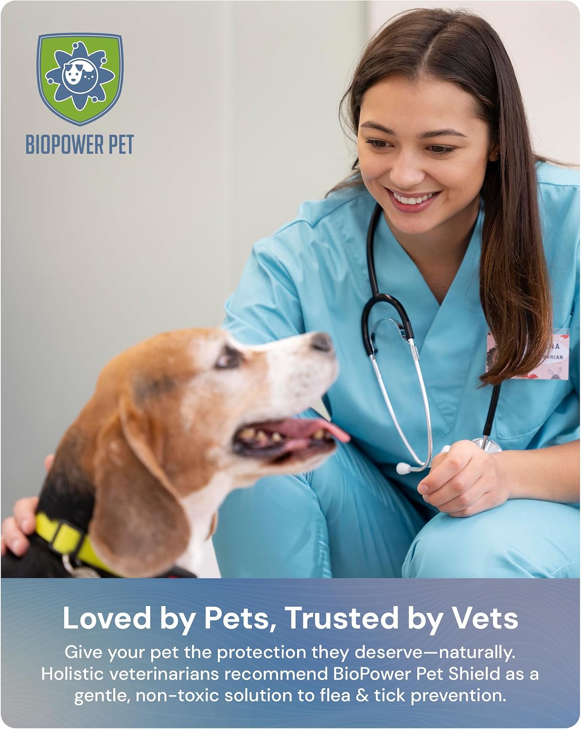 BioPower Pet Shield tag attached to a cat collar