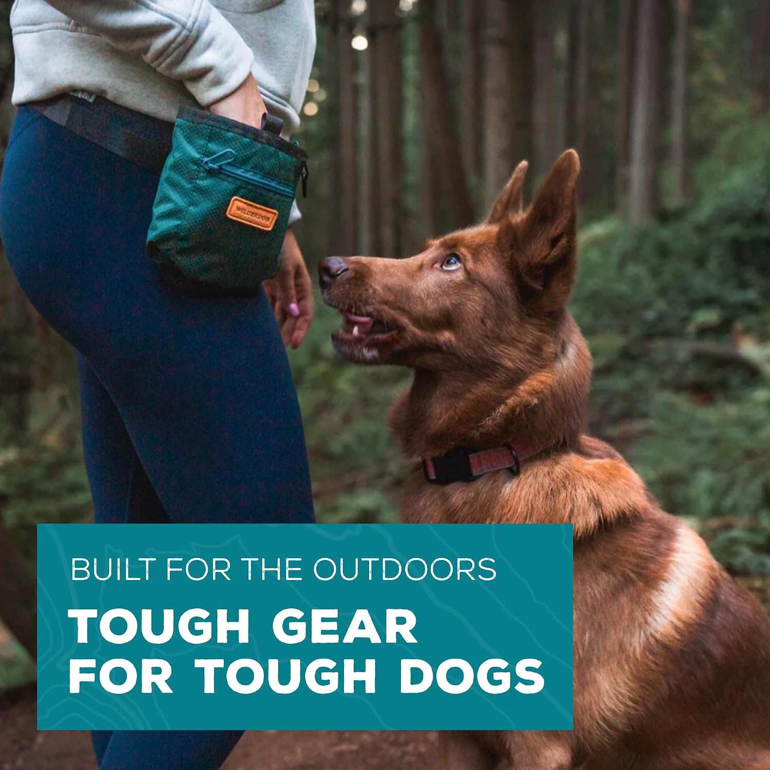 Wilderdog dog walking utility pack highlighting the front D-ring loop