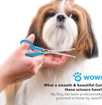 Boshel grooming scissors ergonomic blue handles with non slip rubber rings and finger rest.