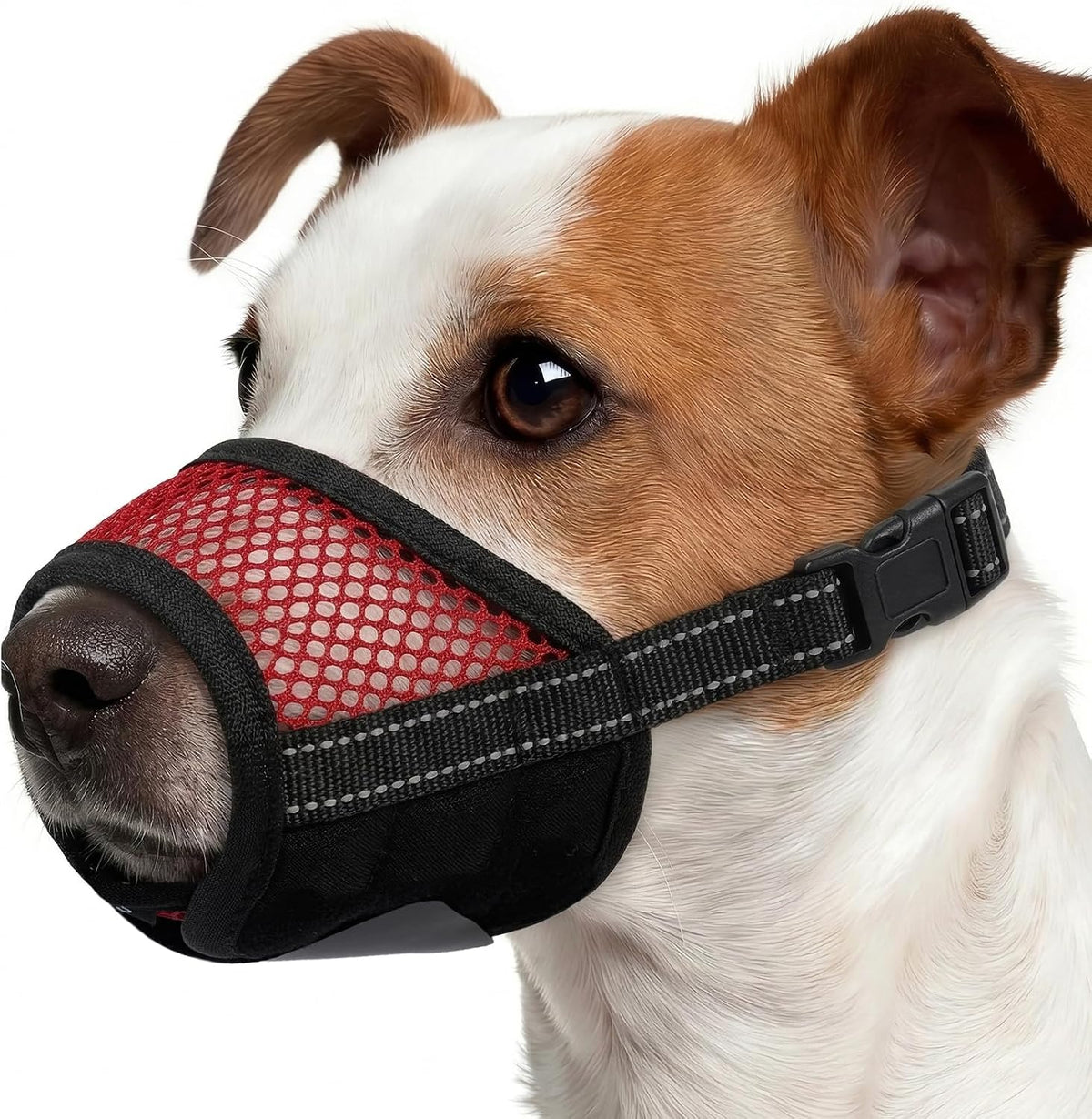 LETSQK soft mesh dog muzzle front view on pet