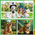 Sweetude decorative dog collar charms arranged neatly to show the entire one hundred piece selection
