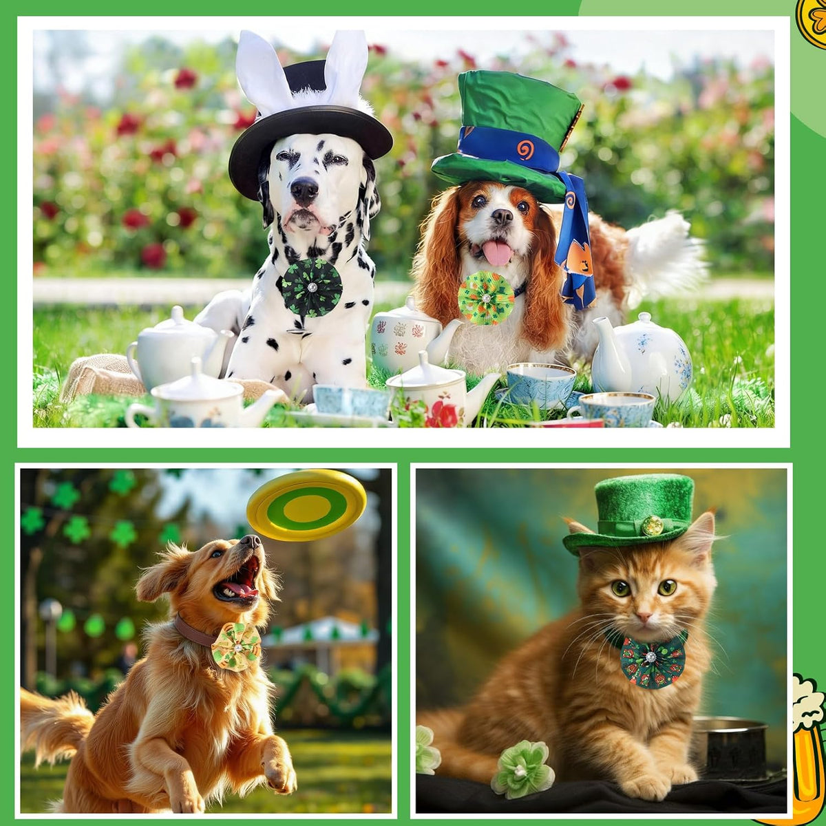 Sweetude decorative dog collar charms arranged neatly to show the entire one hundred piece selection