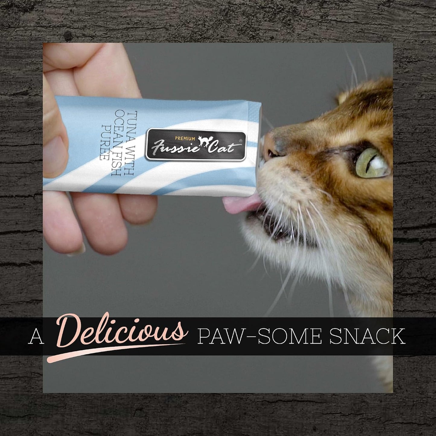 Fussie Cat lickable treat being served to a cat