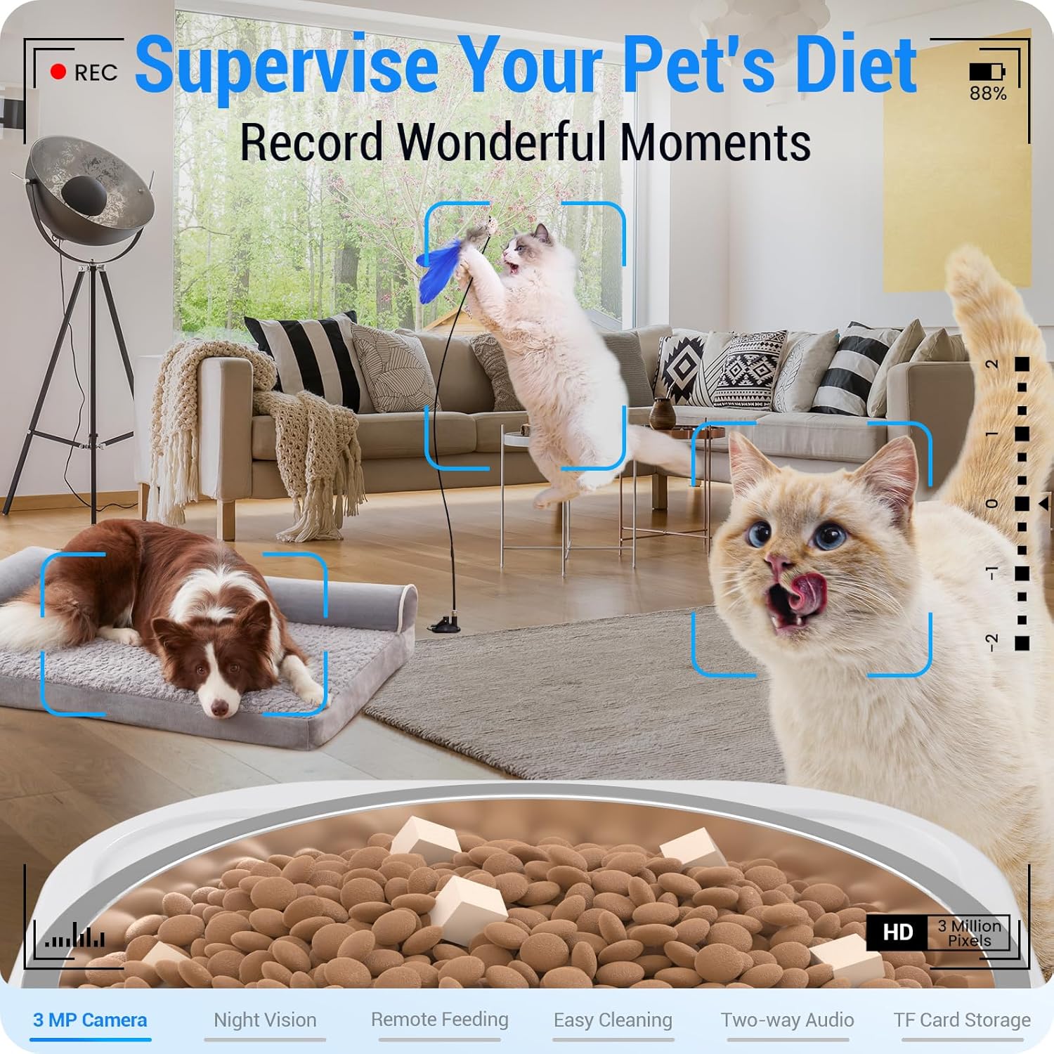 Frienhund 5G WiFi pet food dispenser with night vision camera displaying meal portions