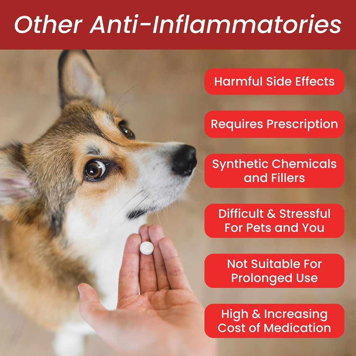 Glacier Peak Holistics Inflapotion - Natural Herbal Anti-Inflammatory for Dogs & Cats, Organic Remedy for Arthritis, Inflammation, Hip & Joint Pain, Mobility & Wellness - 3oz (90 Servings) - Image 9