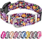 Hikiko high density nylon martingale collar for small medium large dogs.