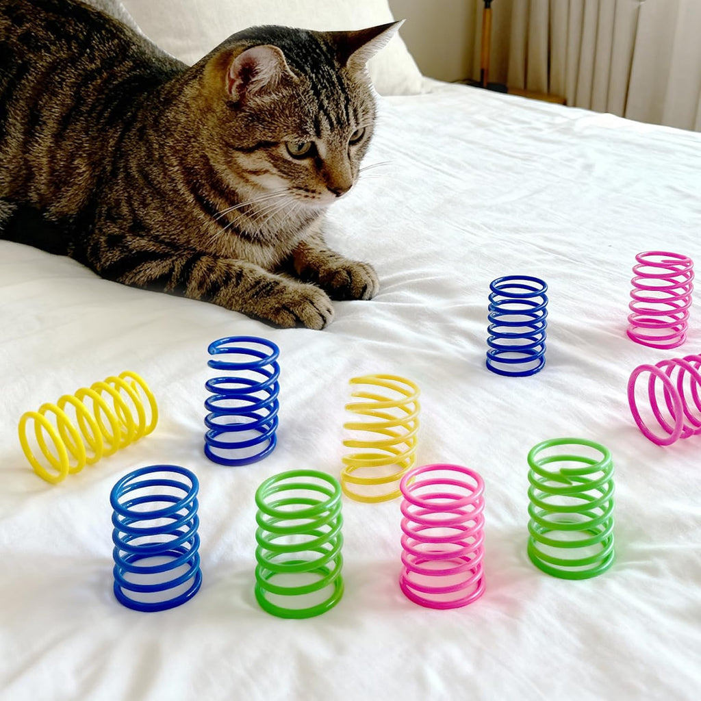 Multi color spiral coil pet toys scattered around a living room setting