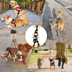 Luck Dawn heavy duty multiple dog lead durable pet walking gear