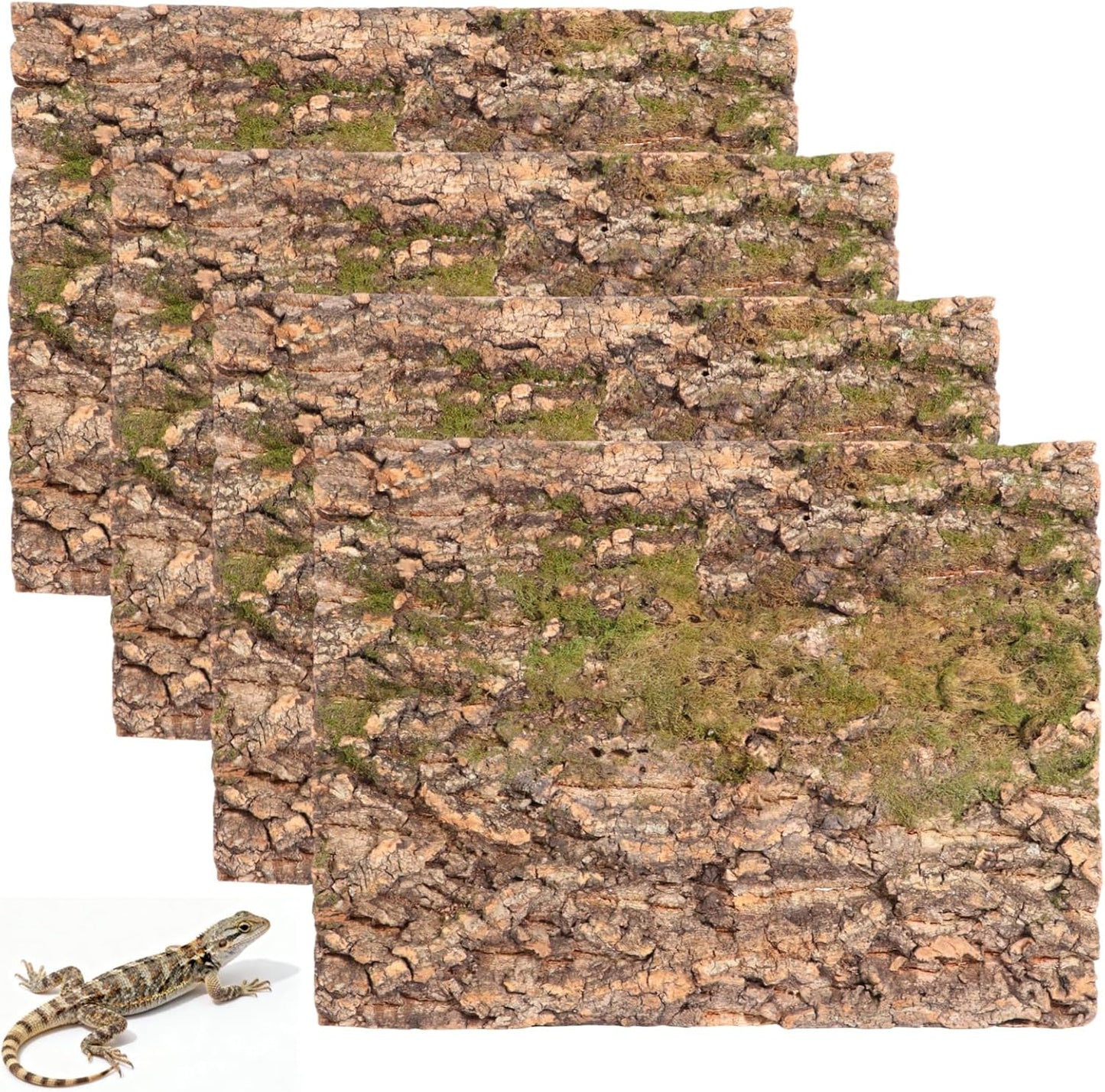 Nimbloom natural cork terrarium background front view inside a reptile habitat