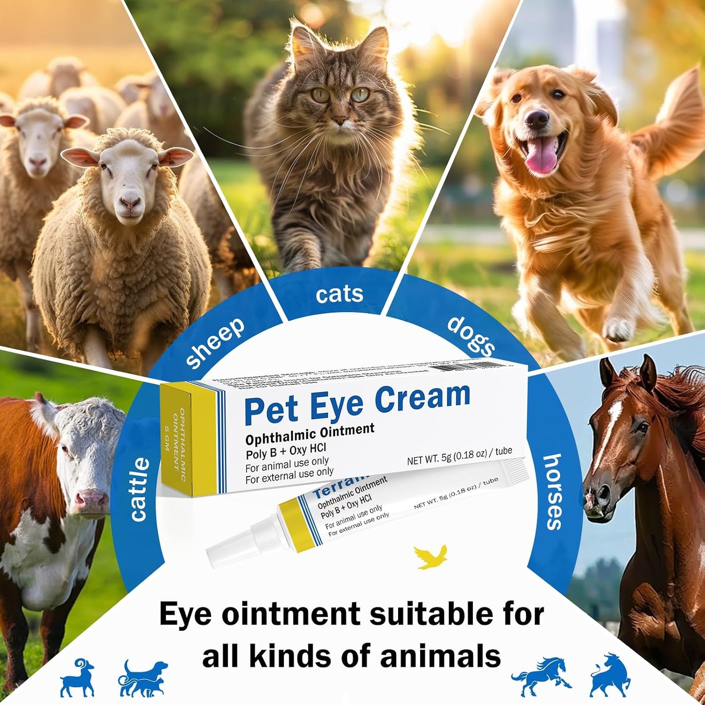 Sterile ophthalmic ointment five grams tube for animal eye infections