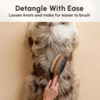 Best Shot Scentament Spa lavender dog and cat cologne spray for detangling fur