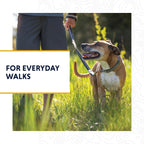Durable Tubelok reflective dog strap for safe night walking