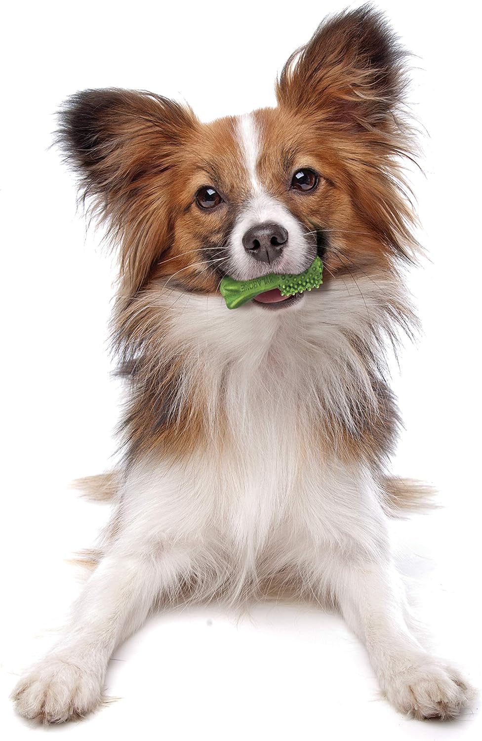 Nylabone Nutri Dent Natural Dental Chews for Dogs, Limited Ingredient Dog Treats Made in the USA, Clean Teeth & Fresh Breath, Healthy Dog Chews, Fresh Breath Flavor, For X-Small Dogs, (160 Count) - Image 10