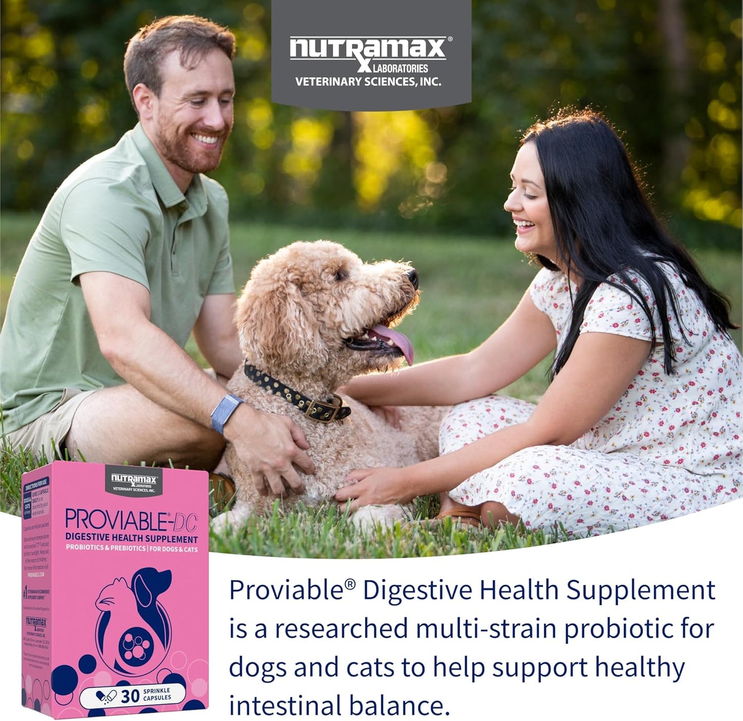 Nutramax Proviable multi strain daily digestive supplement 30 count box