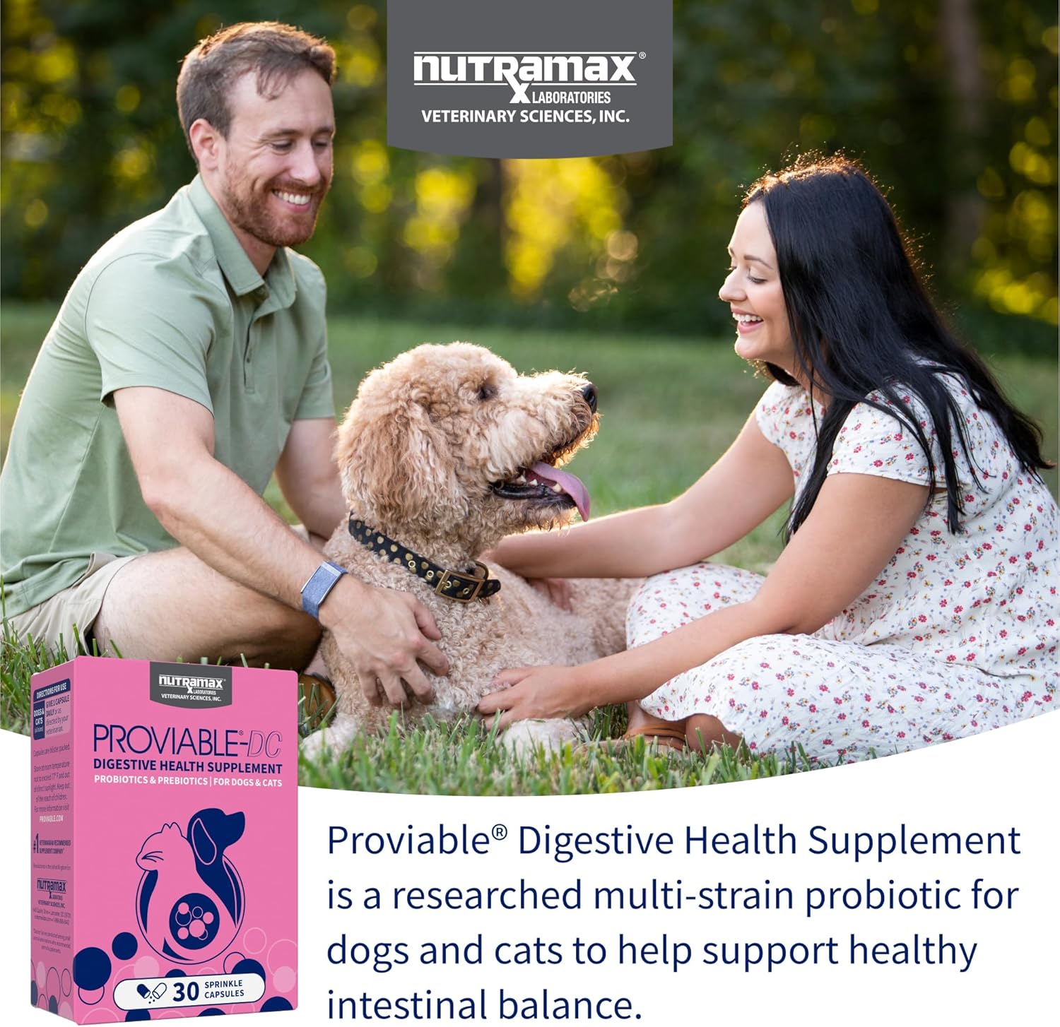 Nutramax Proviable multi strain daily digestive supplement 30 count box