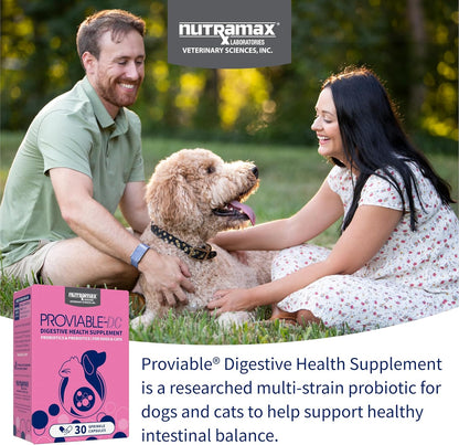 Nutramax Proviable multi strain daily digestive supplement 30 count box