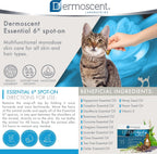 Back of Bayer Dermoscent Essential 6 cat treatment box with usage details