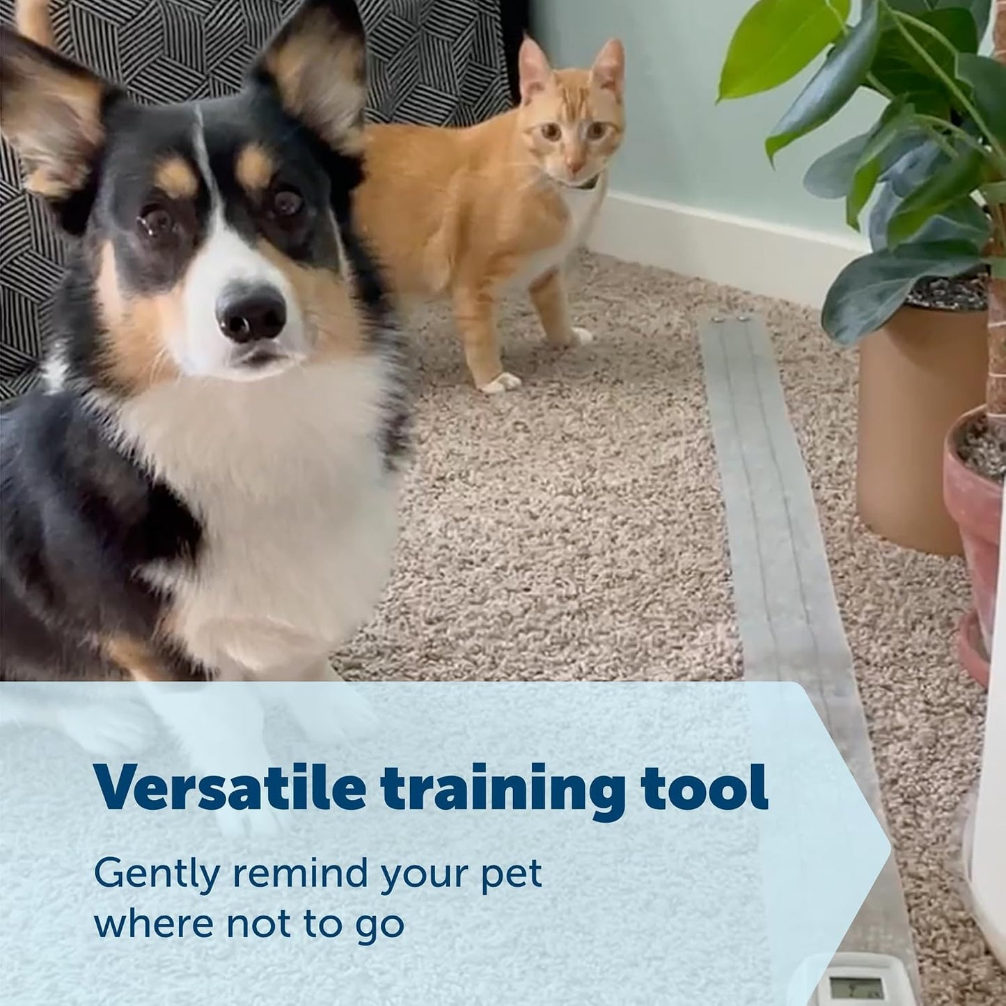 PetSafe ScatMat 12 by 60 inch size demonstration
