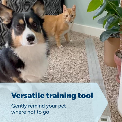 PetSafe ScatMat 12 by 60 inch size demonstration