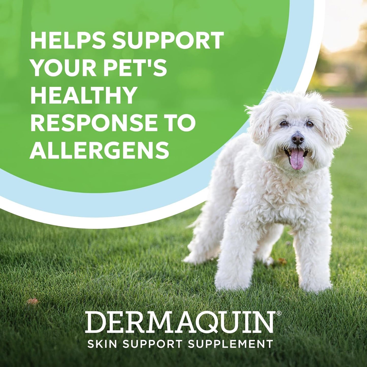 Nutramax Dermaquin soft chews back label showing ingredients and dosage guidelines