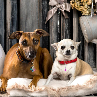 Lightweight round metal pet bells by COMNICO showing the compact size specifications
