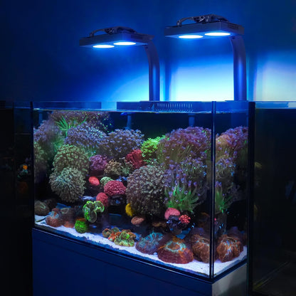 Nicrew LED light installed over reef tank