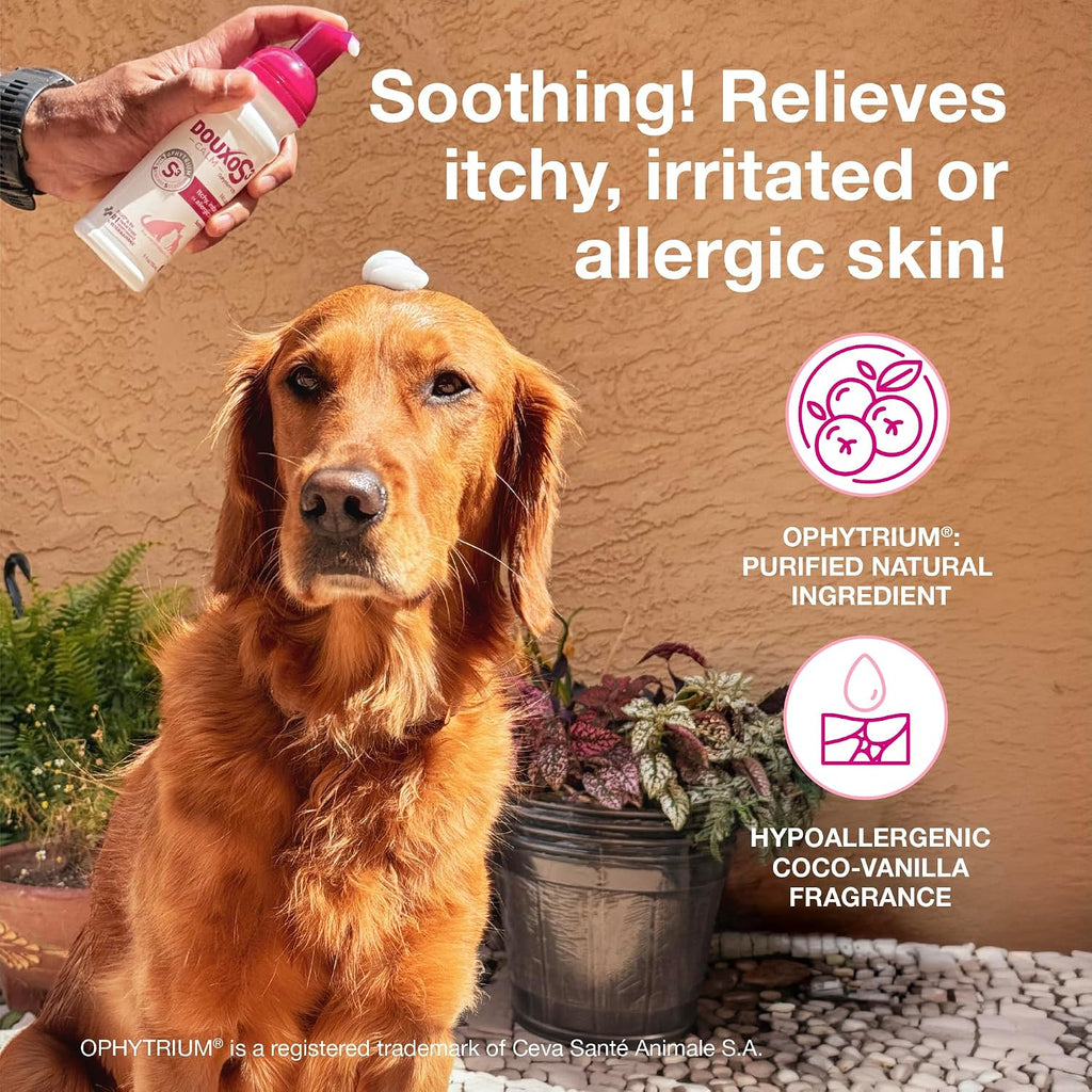 Douxo S3 Calm Itch Soothing Mousse for Dogs & Cats - Image 2