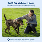 PetSafe wireless containment system electronic receiver unit close up