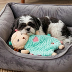 SPOT Soothers Tabbie Lambie Dog Toy - 8in Mini Stuffing-Free Calming Plush with Lavender Scent & Squeaker for Toy Breeds & Puppies, Anxiety Relief - 1 of 3 Assorted Colors, Sent at Random - Image 10