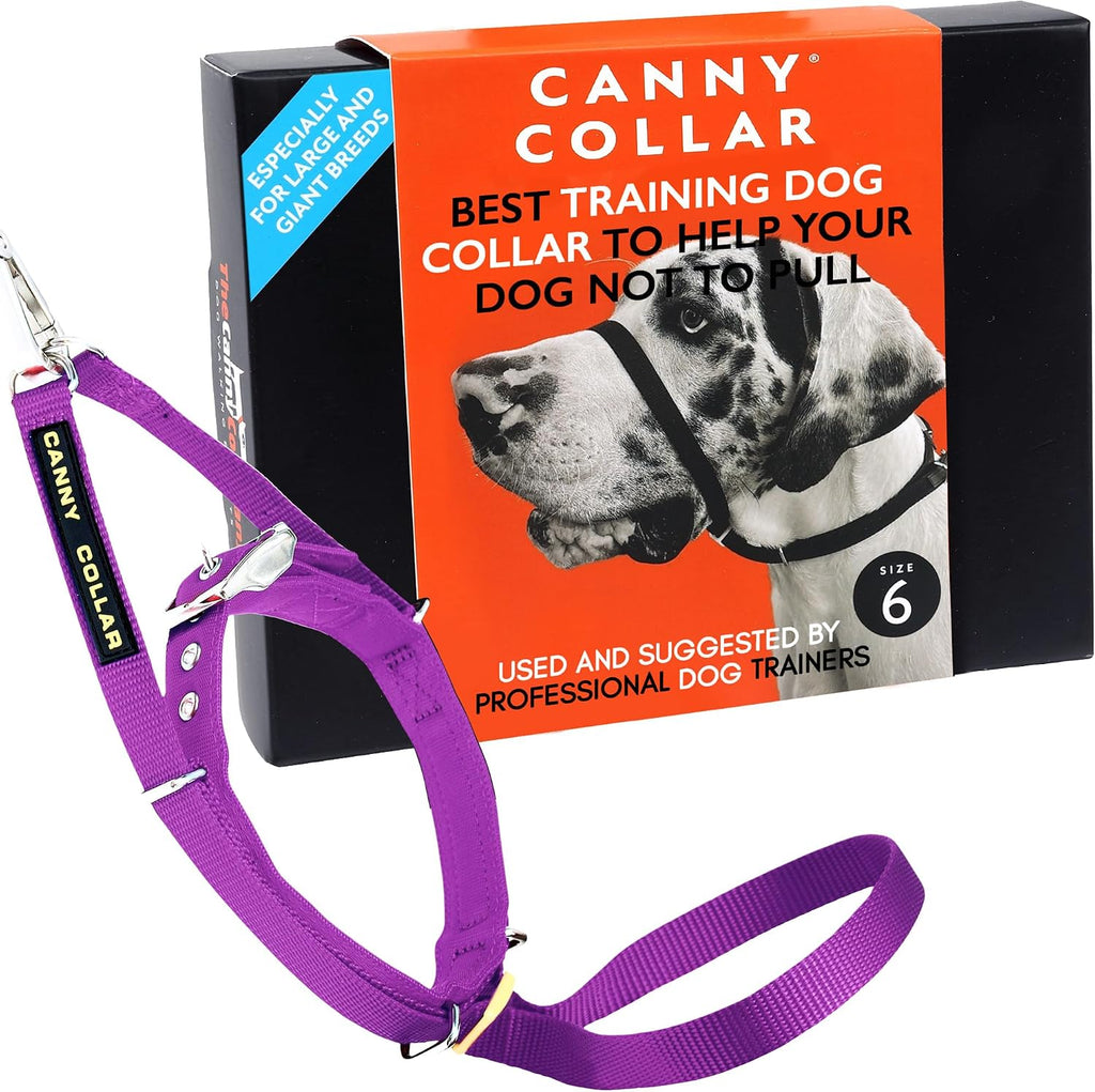 Canny Gentle No Pull Dog Training Head Collar Purple Size 6 front packaging view