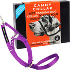 Canny Gentle No Pull Dog Training Head Collar Purple Size 6 front packaging view