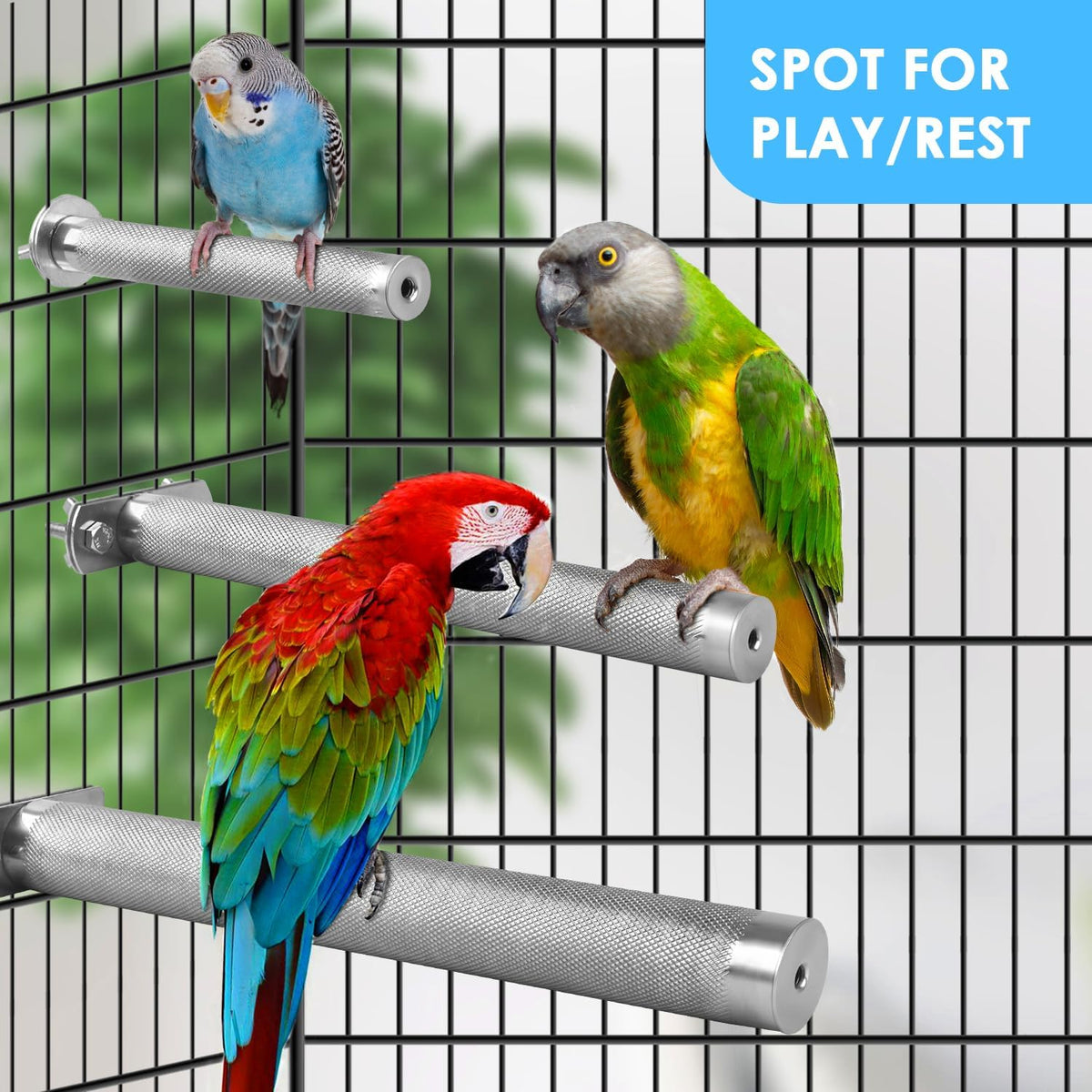KATUMO Parrot Perch - Stainless Steel African Grey Perch Bird Cage Accessories for Small to Large Parrots (11.8 x 1.2 inch) - Image 4