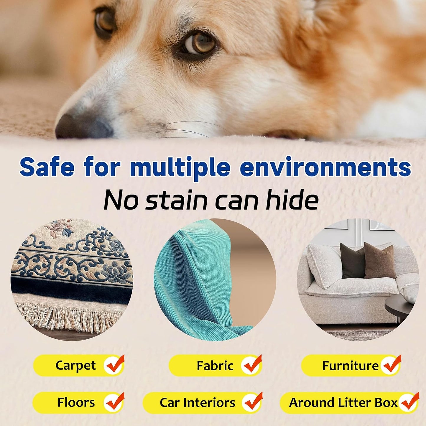 Clawzbey pet odor eliminator kit accessories including the charger cable and compact bottle