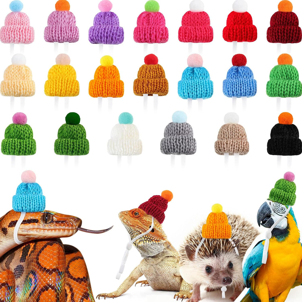 MTLEE mini pet snake hat front view featuring colorful knitted beanies