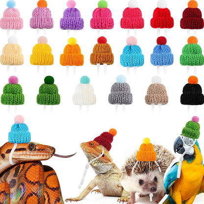 MTLEE mini pet snake hat front view showing colorful knitted design with pompon