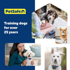 PetSafe NanoBark 2.0 Bark Collar for Small Dogs Lightweight, Adjustable 4-15" Neck Smart Bark Detection Auto-Adjusting Static Correction Waterproof & Rechargeable Up to 7 Days Battery - Image 9