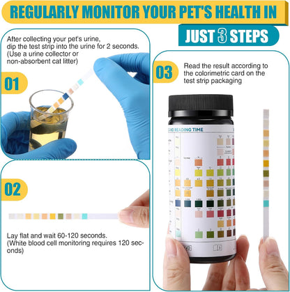 One Step veterinary health kit for cats and dogs showing the one hundred count test package