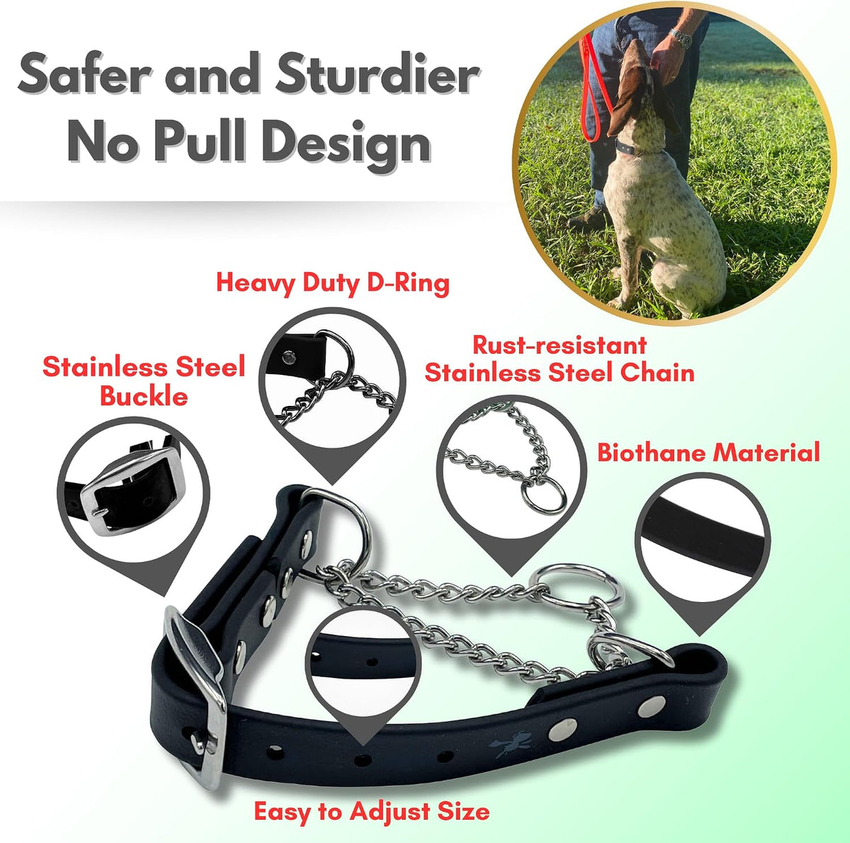 Close up of the premium weatherproof and odor proof Biothane strap on a professional training collar.