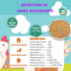 High protein non GMO chicken feed dried mealworms pouring out