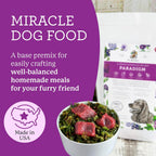 Dr. Harvey's Paradigm Green Superfood base mix texture detail