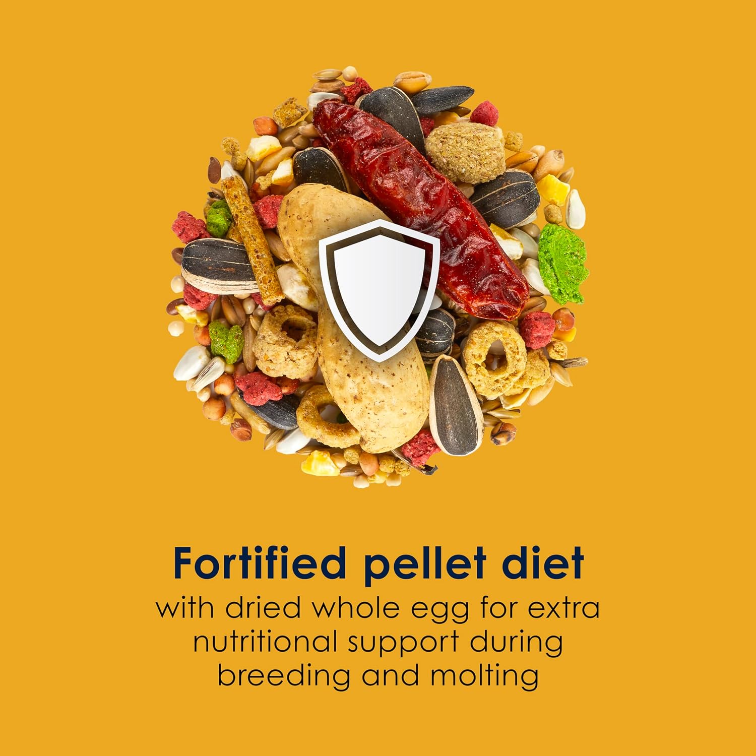 A vibrant lovebird enjoying Kaytee premium bird food